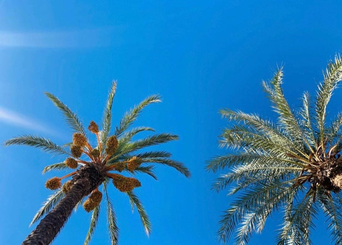 La Margarita Apartment Torrevieja Ngoại thất bức ảnh